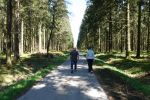 PICTURES/Belgium - Battle of the Bulge - Northern Shoulder Tour/t_Hasselpath2.JPG